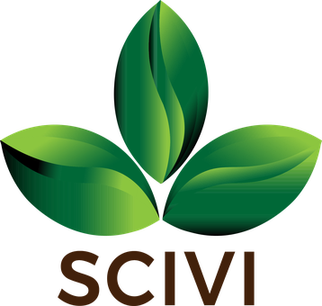 Scivi Travel